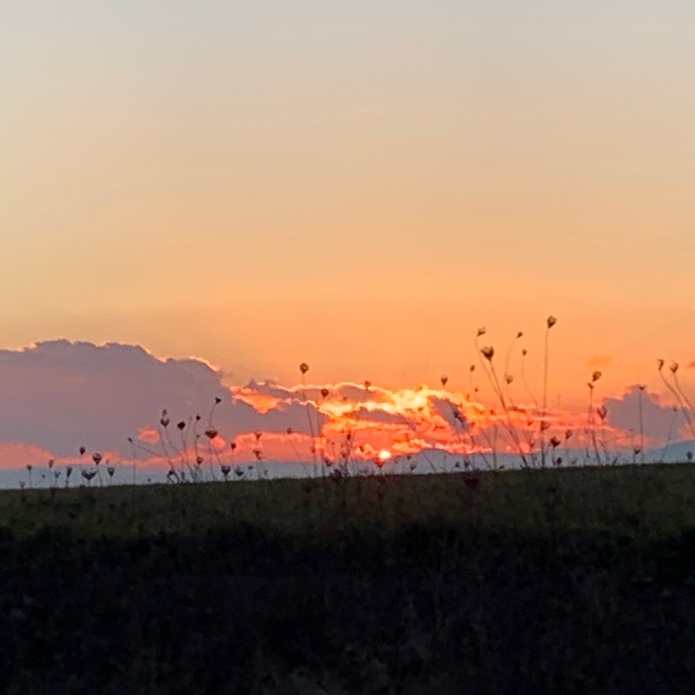 Meet your Posher, Kameron